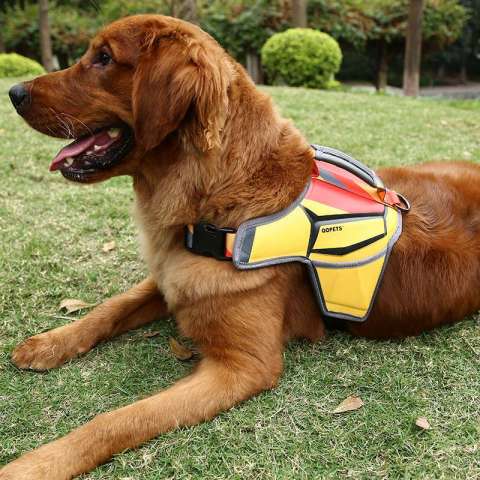 Wholesale fashion label comfortable massage dog vest harness with padded leather material